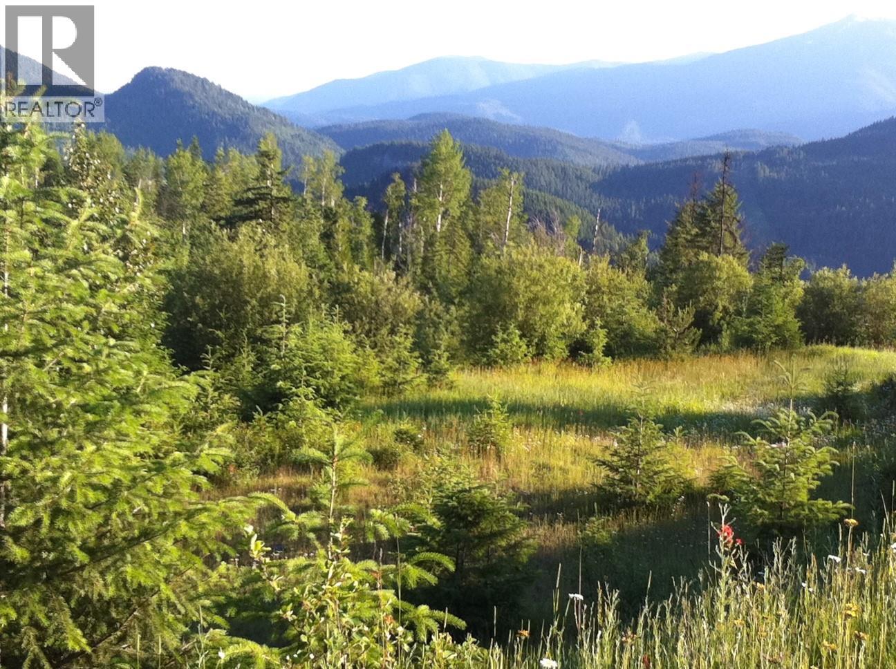 549 Rosebud Lake Road, Salmo, British Columbia  V0G 1Z0 - Photo 33 - 10359946