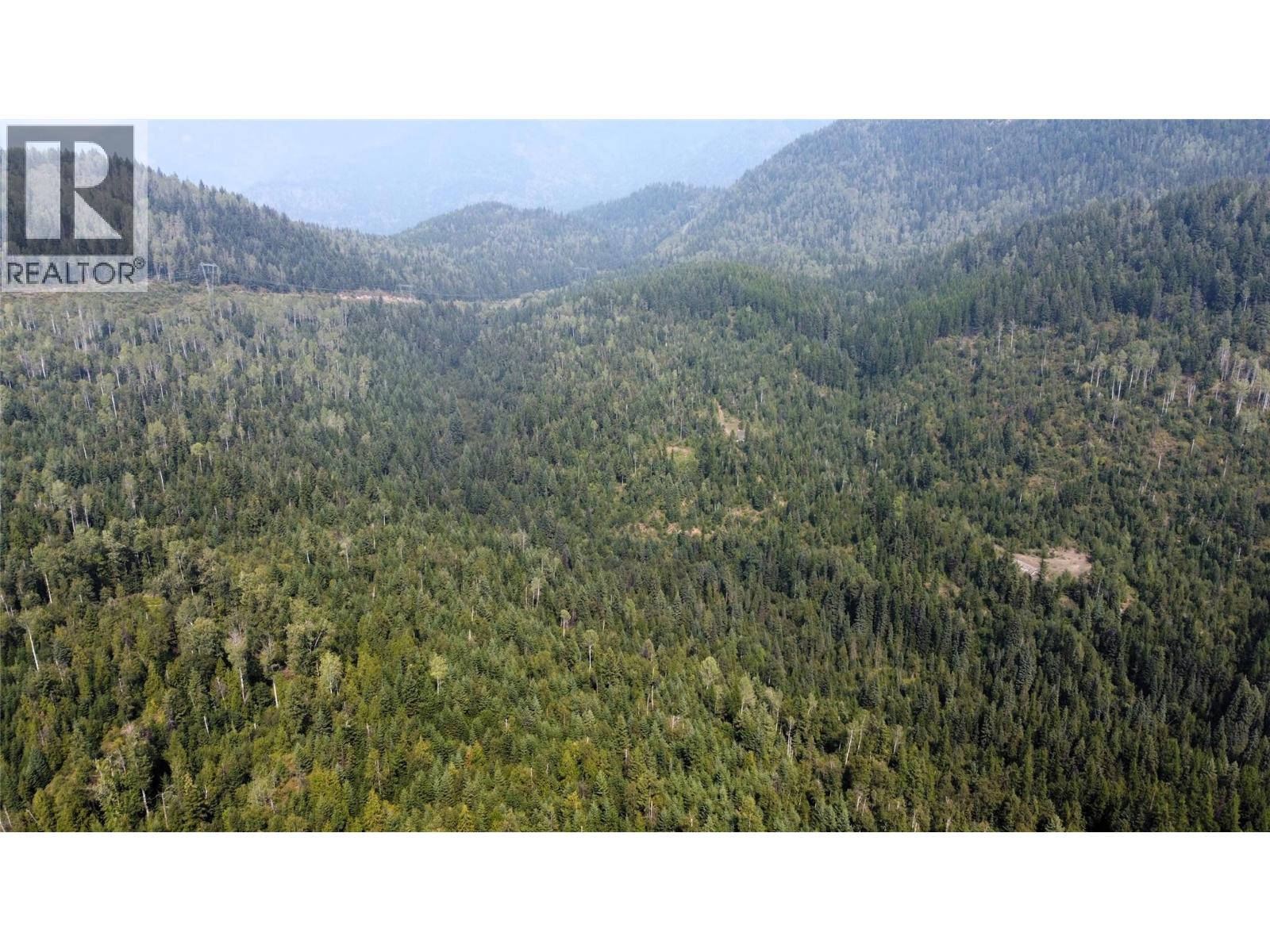 549 Rosebud Lake Road, Salmo, British Columbia  V0G 1Z0 - Photo 34 - 10359946