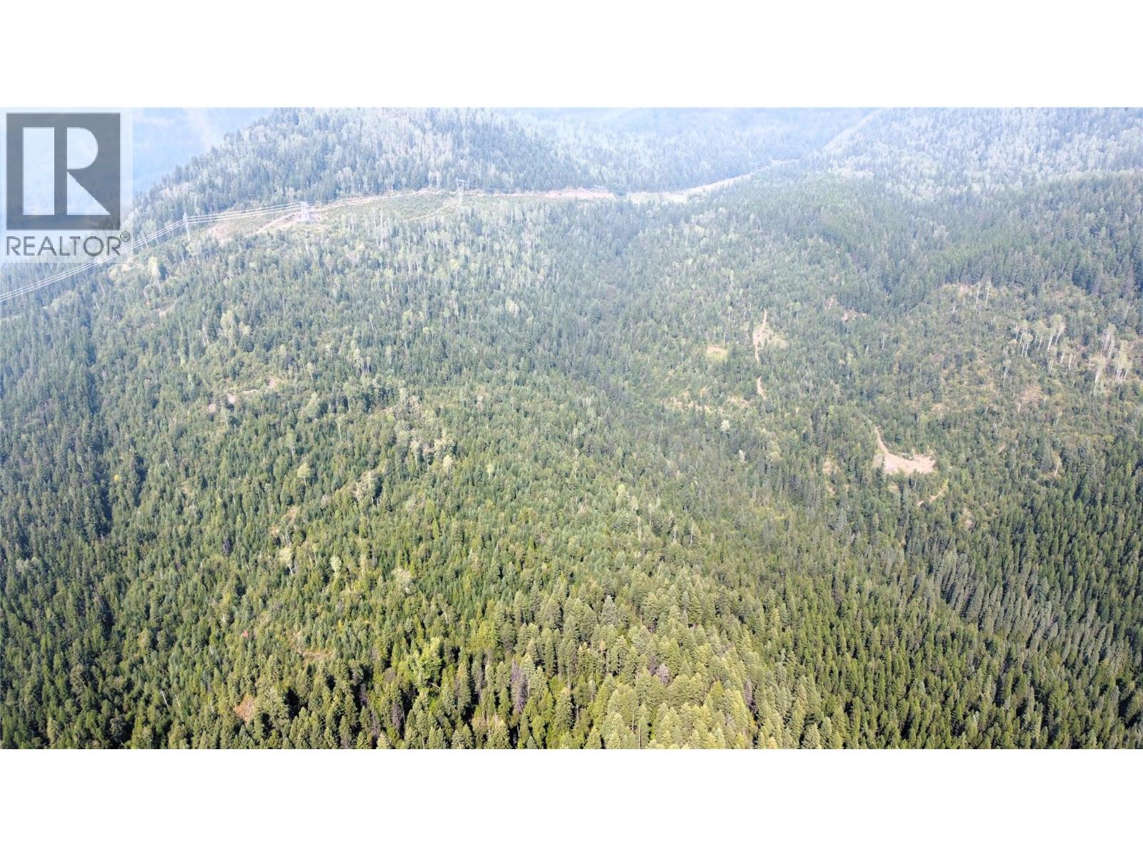 549 Rosebud Lake Road, Salmo, British Columbia  V0G 1Z0 - Photo 35 - 10359946