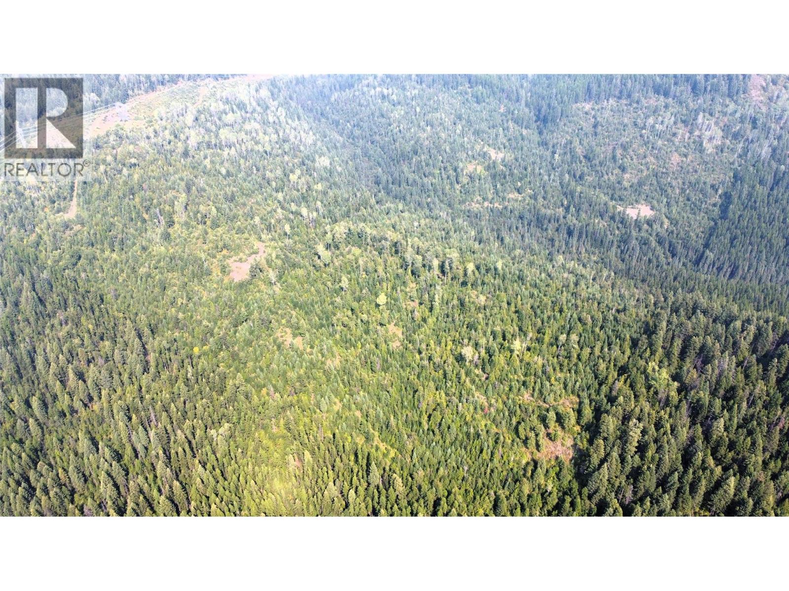 549 Rosebud Lake Road, Salmo, British Columbia  V0G 1Z0 - Photo 37 - 10359946