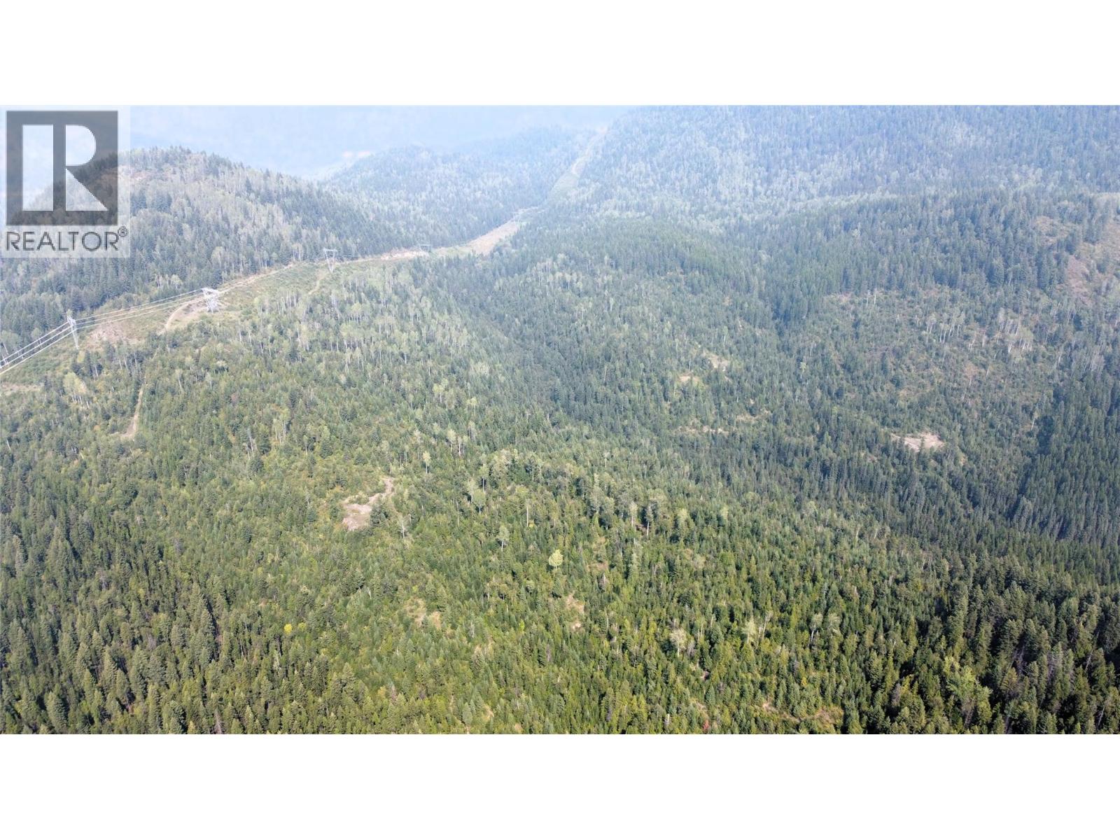 549 Rosebud Lake Road, Salmo, British Columbia  V0G 1Z0 - Photo 38 - 10359946
