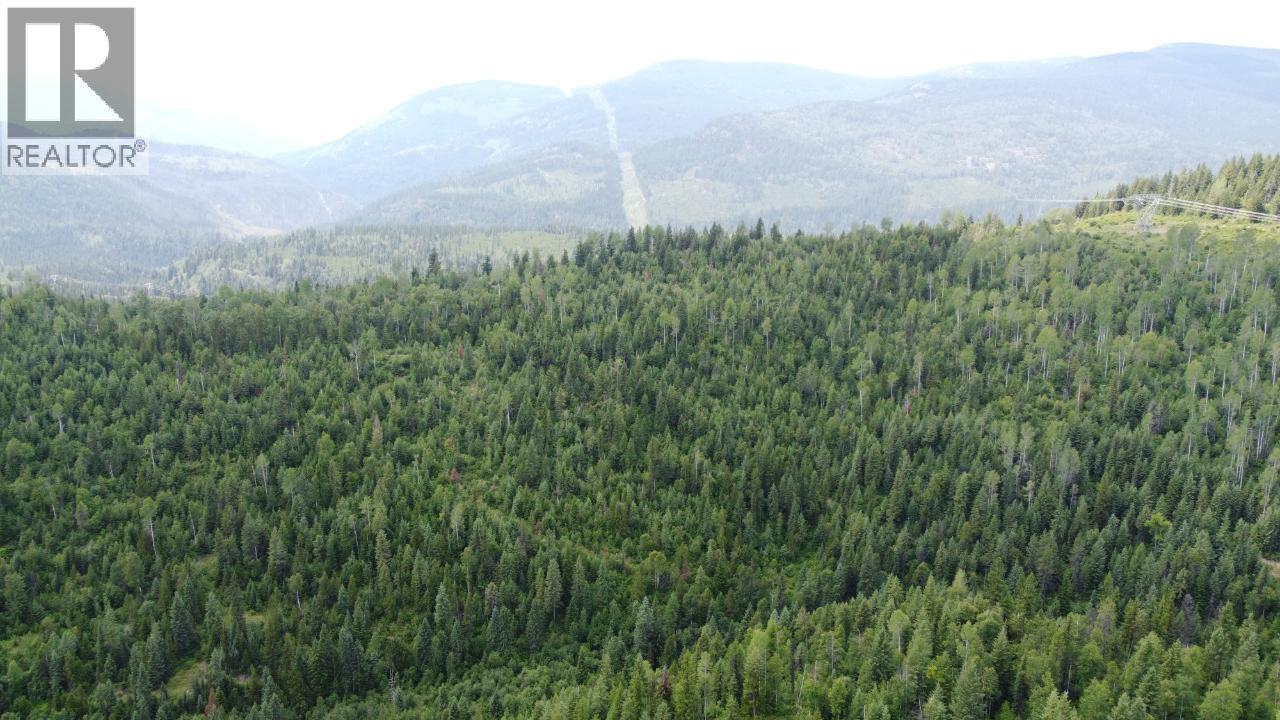 549 Rosebud Lake Road, Salmo, British Columbia  V0G 1Z0 - Photo 9 - 10359946