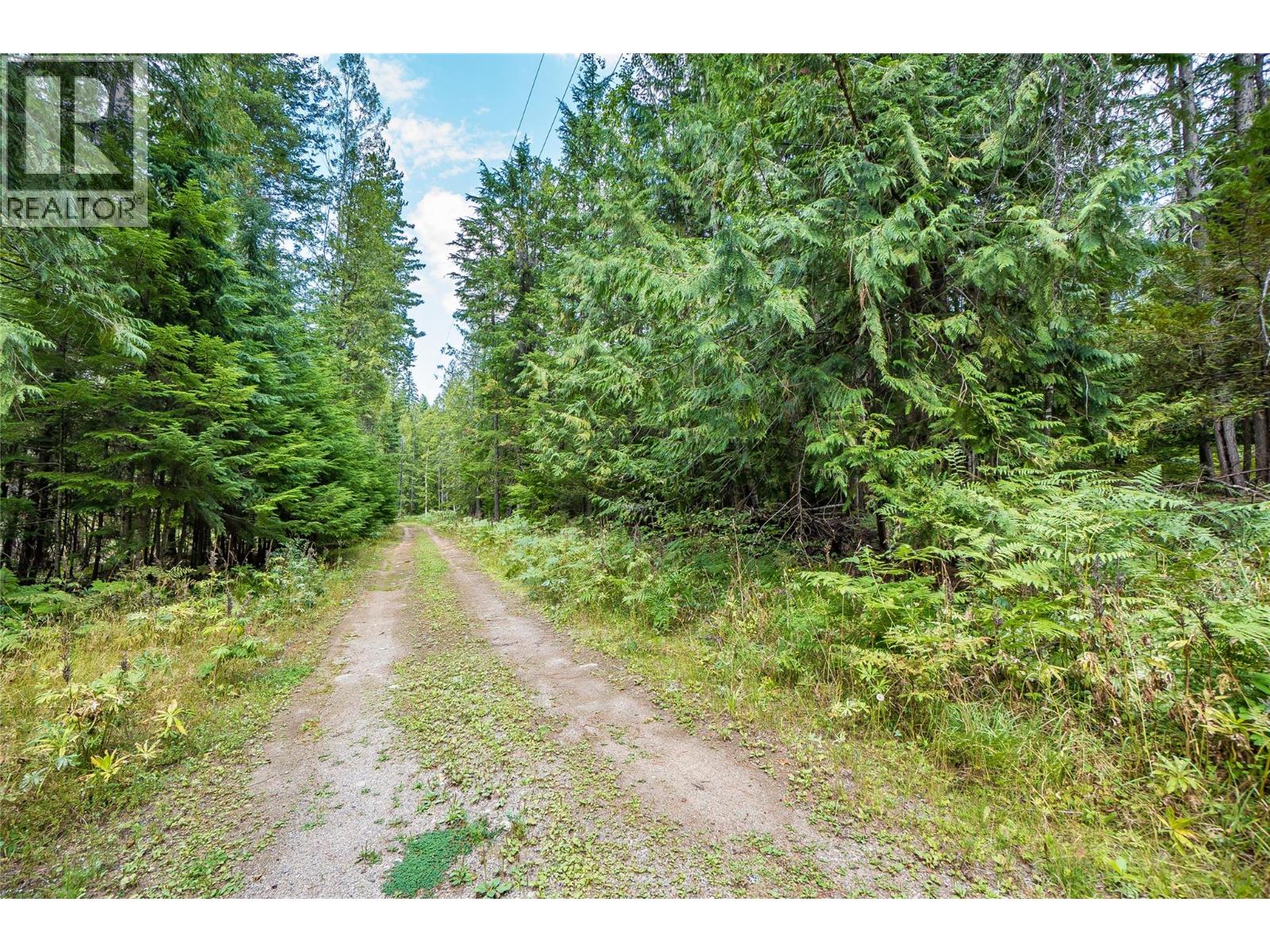 8780 Martens Road, Slocan, British Columbia  V0G 2C0 - Photo 51 - 10360029
