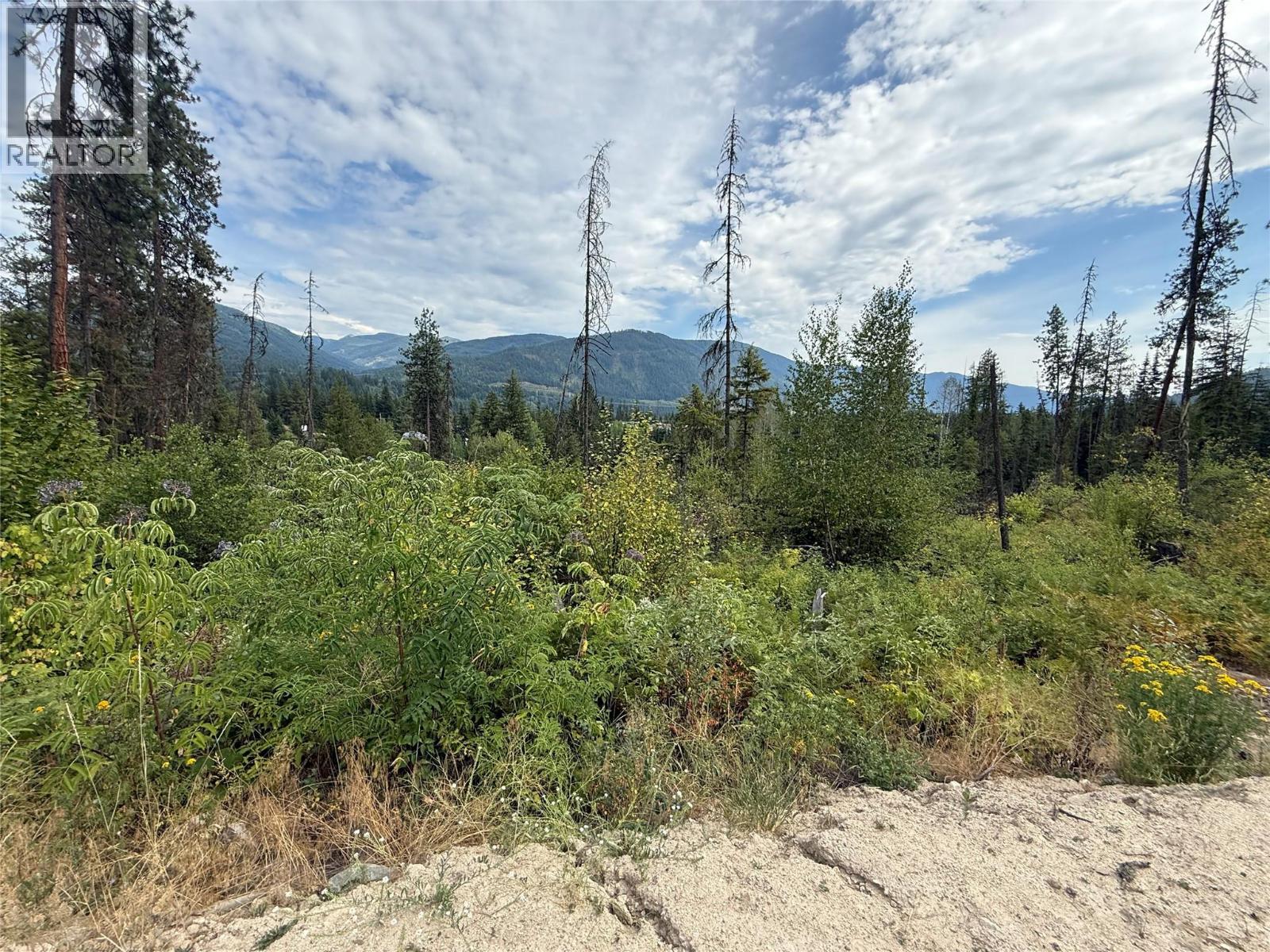3112 Sadler Road, South Slocan, British Columbia  V0G 2G1 - Photo 10 - 10358224