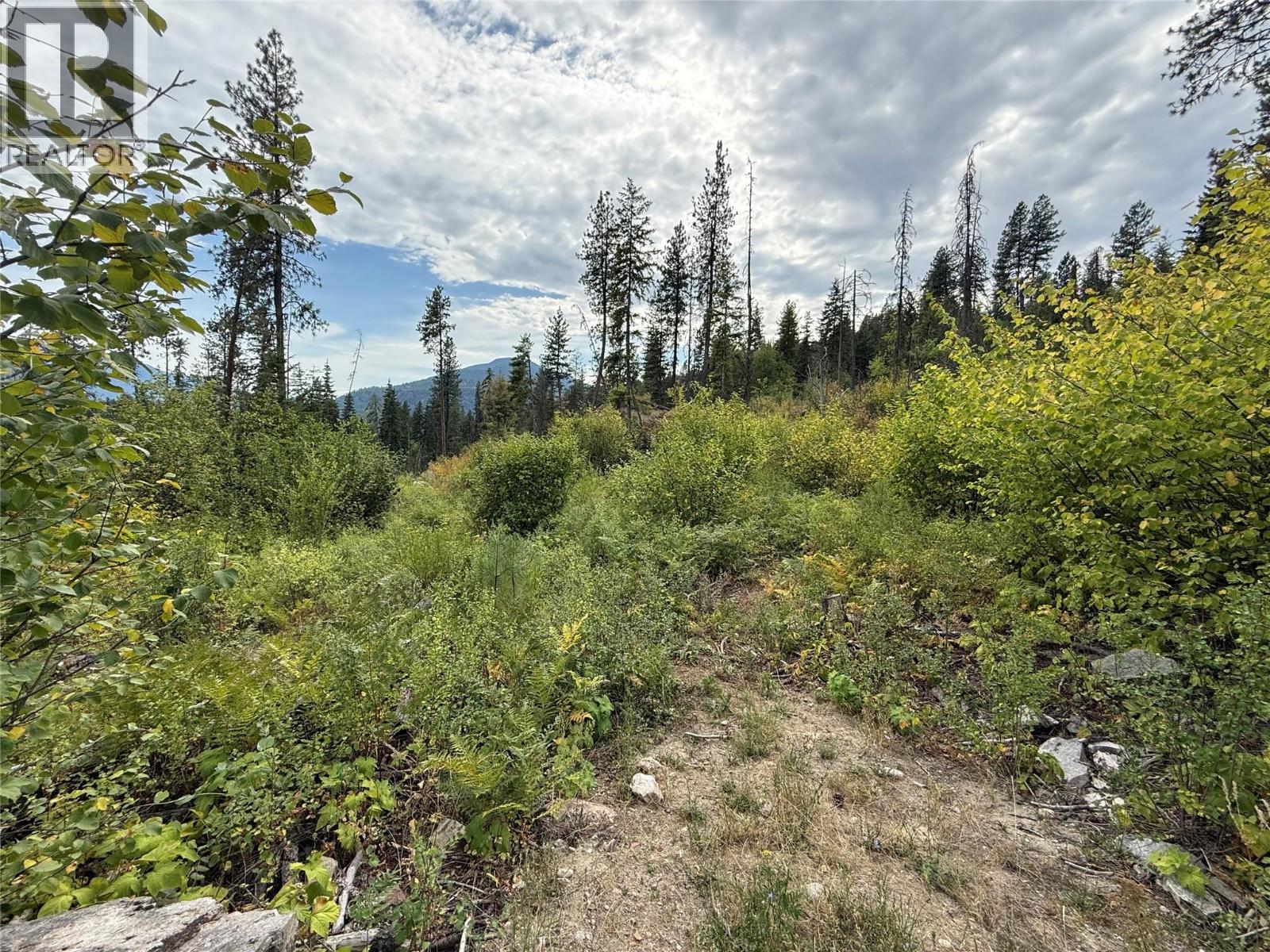 3112 Sadler Road, South Slocan, British Columbia  V0G 2G1 - Photo 11 - 10358224