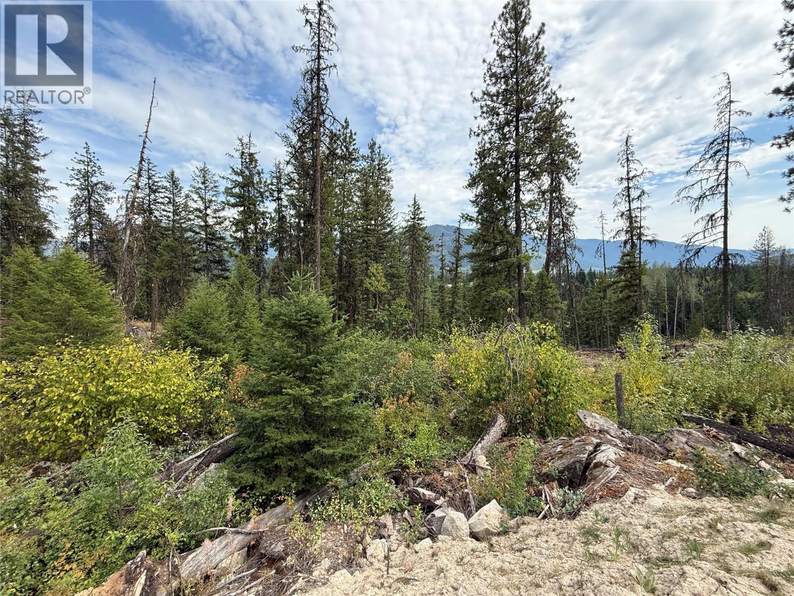 3112 Sadler Road, South Slocan, British Columbia  V0G 2G1 - Photo 14 - 10358224