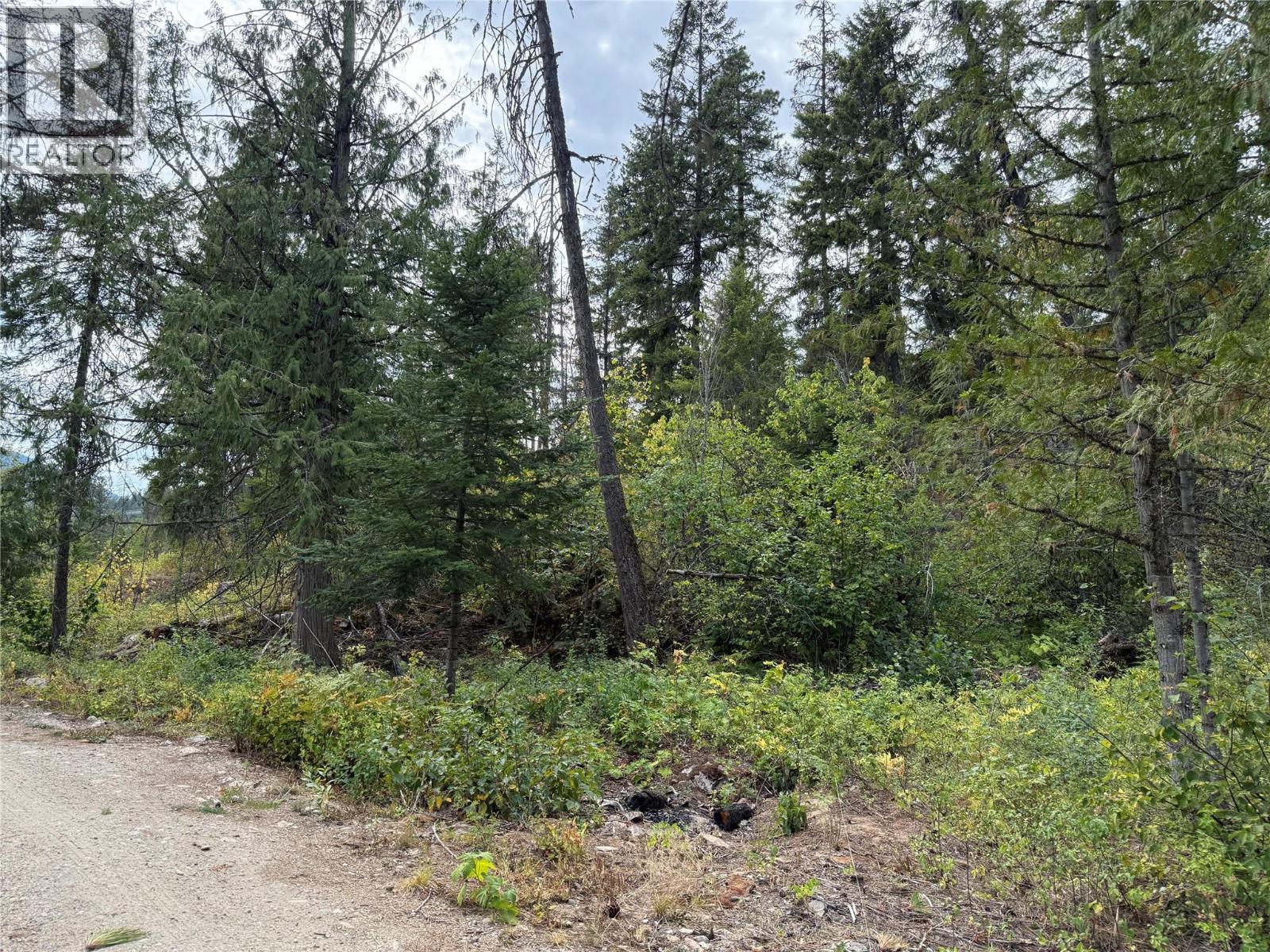 3112 Sadler Road, South Slocan, British Columbia  V0G 2G1 - Photo 16 - 10358224