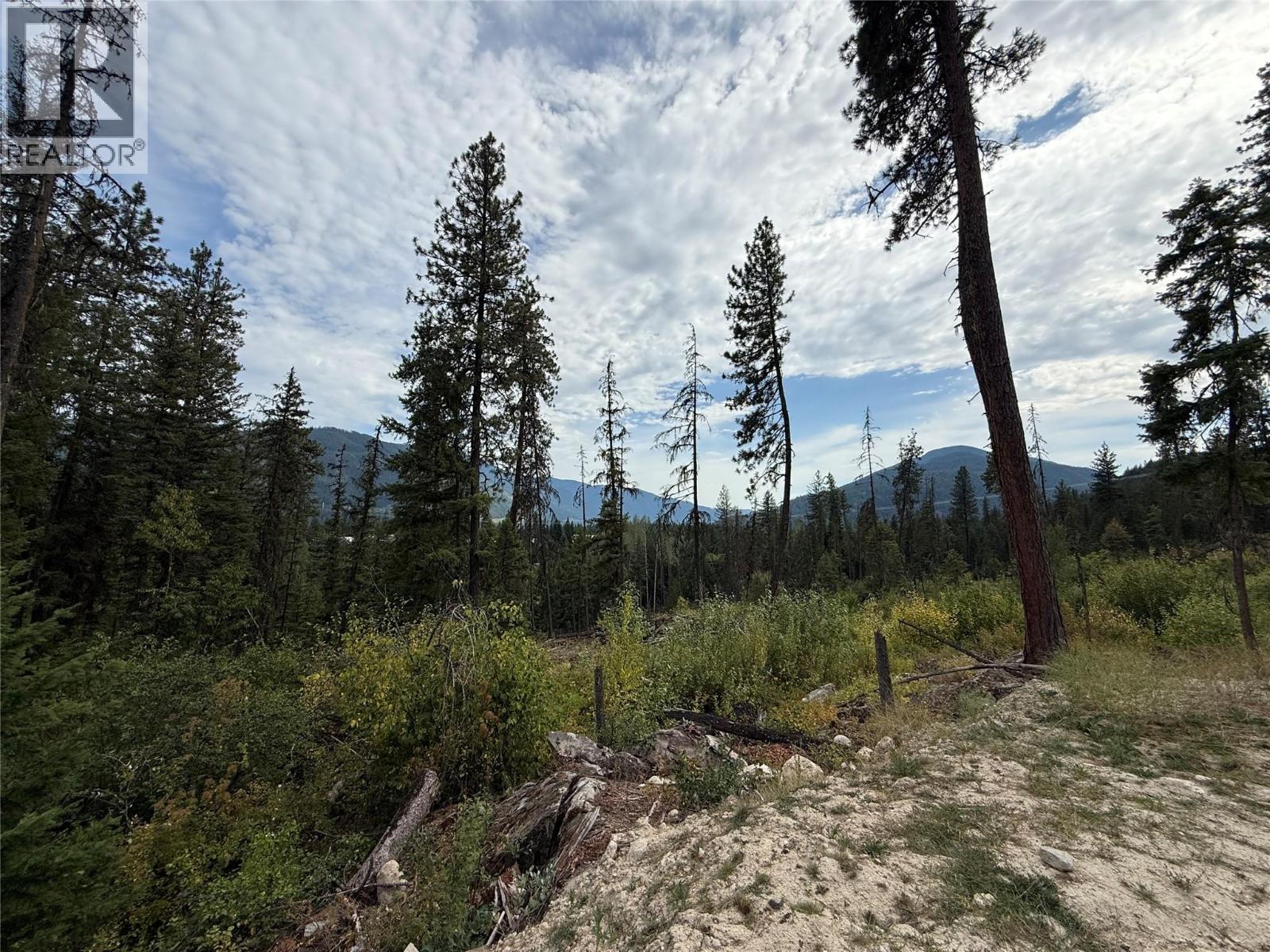 3112 Sadler Road, South Slocan, British Columbia  V0G 2G1 - Photo 17 - 10358224