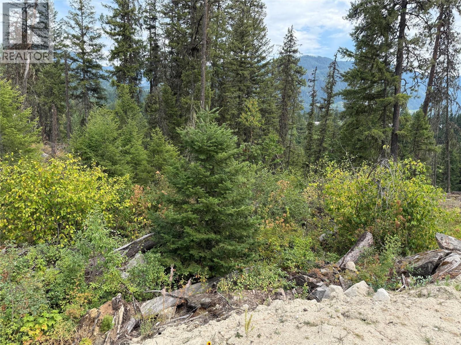 3112 Sadler Road, South Slocan, British Columbia  V0G 2G1 - Photo 3 - 10358224