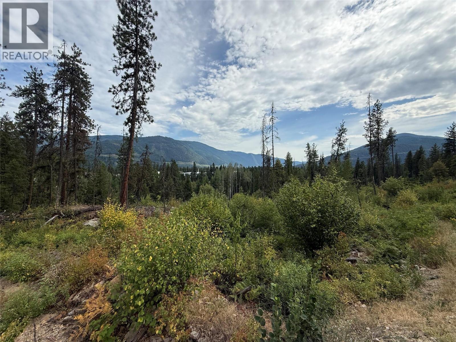 3112 Sadler Road, South Slocan, British Columbia  V0G 2G1 - Photo 7 - 10358224