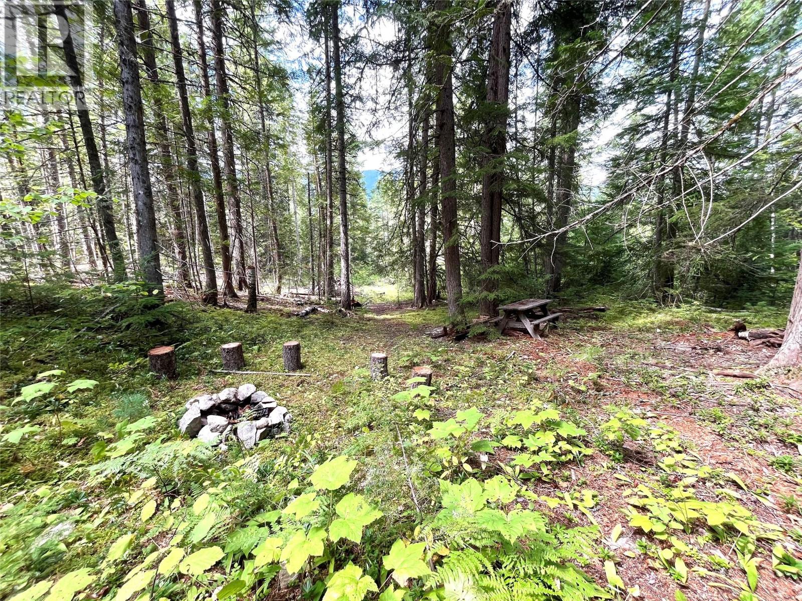 7138 Graham Road, Winlaw, British Columbia  V0G 2J0 - Photo 60 - 10360038