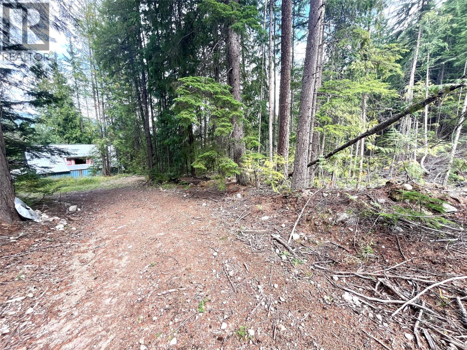 7138 Graham Road, Winlaw, British Columbia  V0G 2J0 - Photo 62 - 10360038