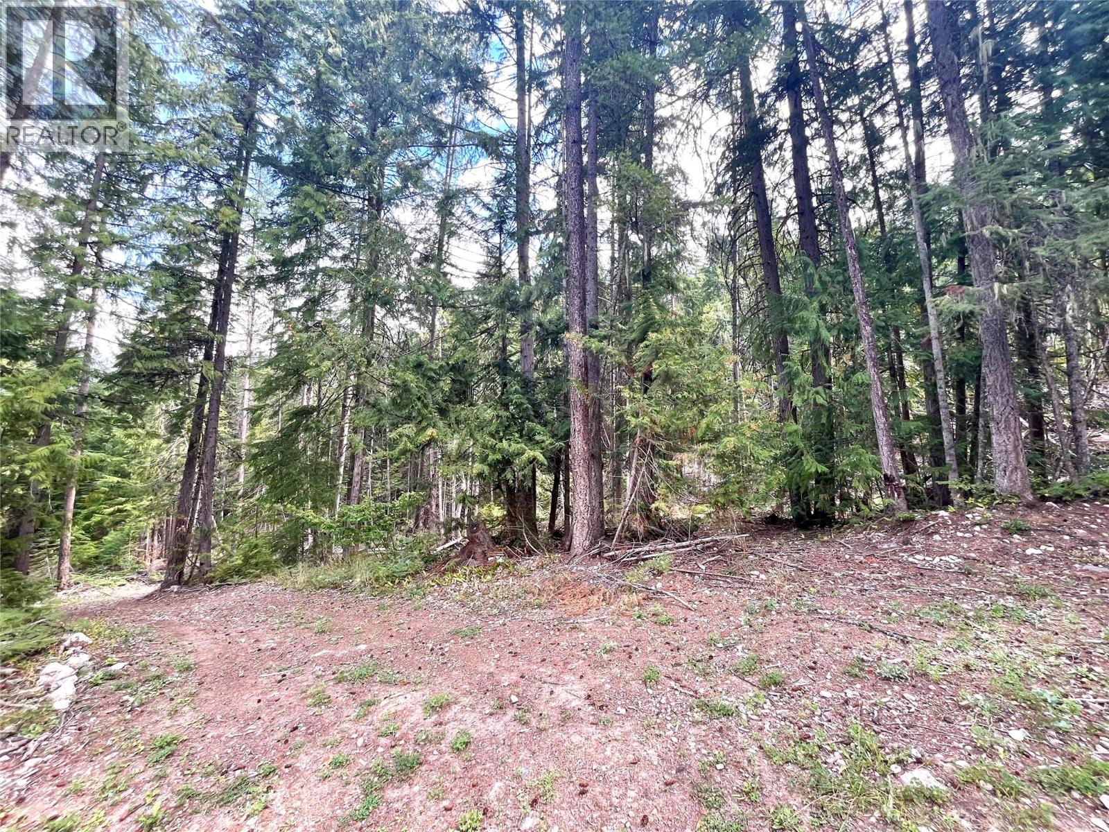 7138 Graham Road, Winlaw, British Columbia  V0G 2J0 - Photo 65 - 10360038