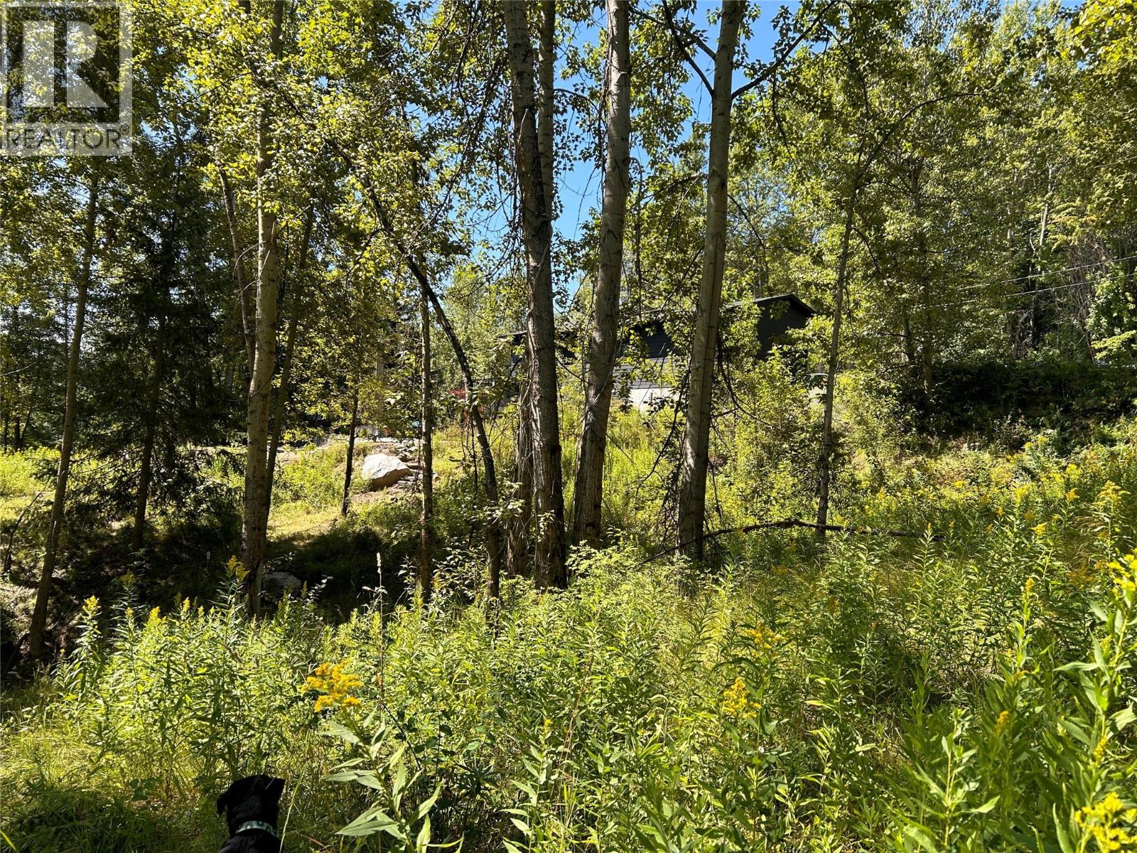 Parcel A Phoenix Avenue, Rossland, British Columbia  V0G 1Y0 - Photo 1 - 10359145