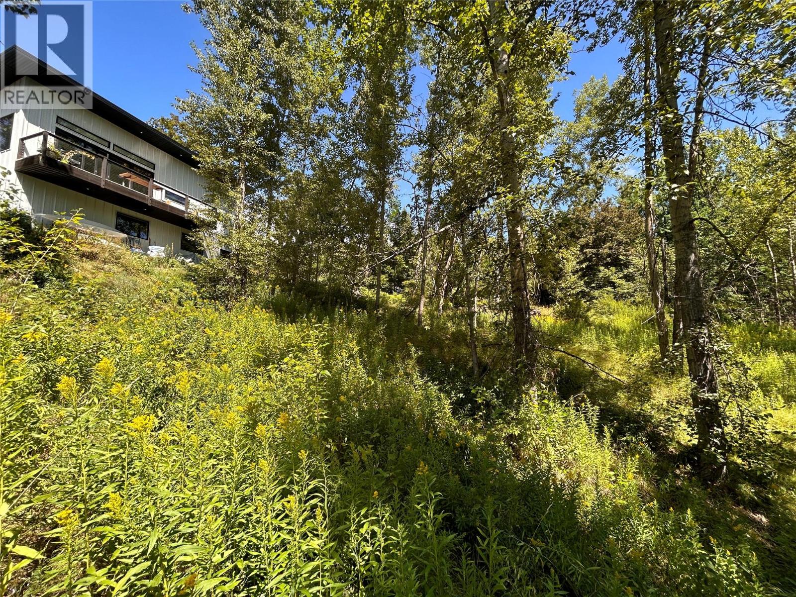 Parcel A Phoenix Avenue, Rossland, British Columbia  V0G 1Y0 - Photo 2 - 10359145