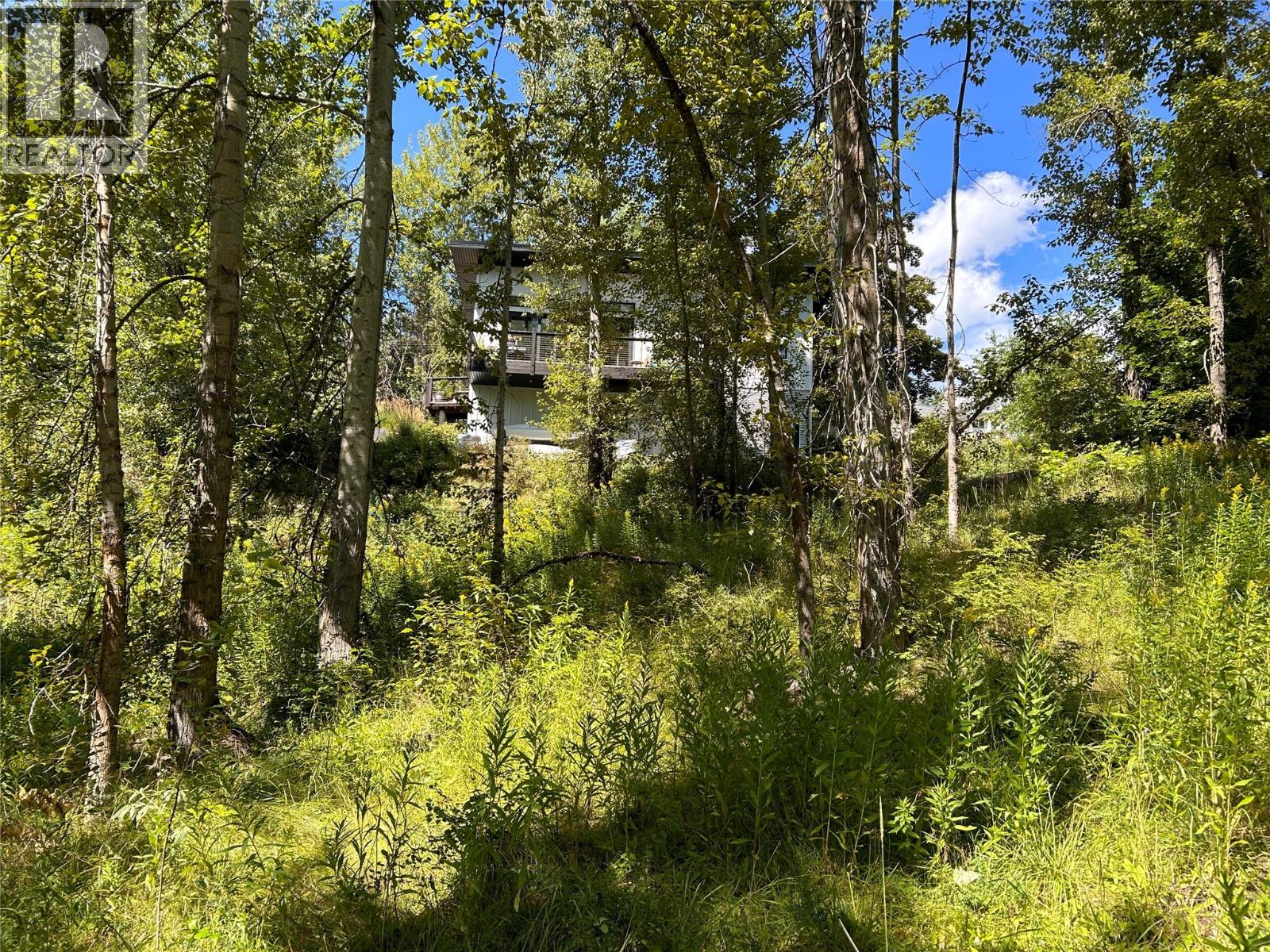 Parcel A Phoenix Avenue, Rossland, British Columbia  V0G 1Y0 - Photo 6 - 10359145
